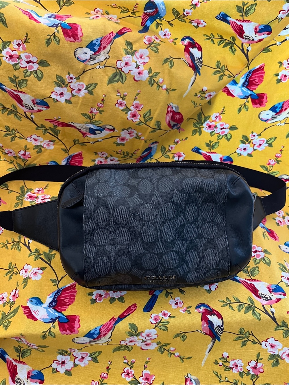 COACH Black Signature Men’s Crossbody or Belt Bag